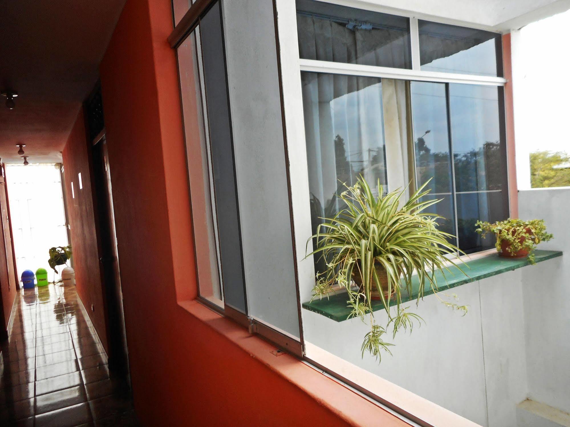 Hostal Geminis San Juan Bautista Exterior foto